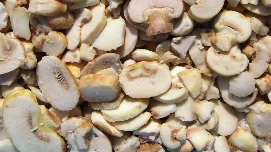 LAS-BOR саңырауқұлақтар шампиньоны мұздатылған көкөністер жемістер лисички березовики боровики өңдеу экспорт Польшада 06