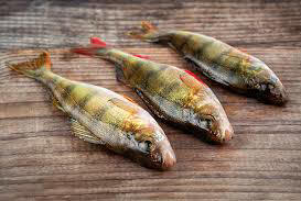 Тұздықтағы қуырылған балық 13