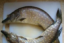 Тұздықтағы қуырылған балық 13